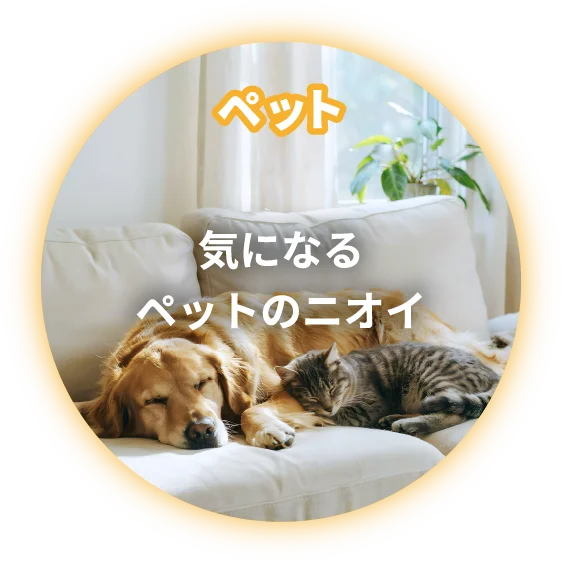 ペット 気になるペットのニオイ