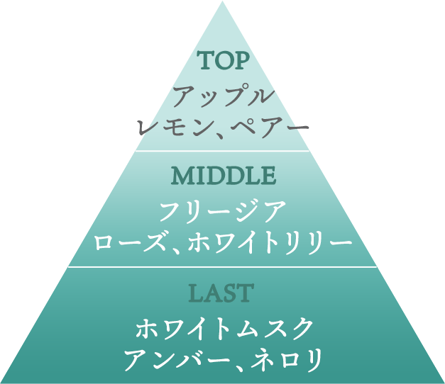 TOP アップル、レモン、ペアー MIDDLE フリージア、ローズ、ホワイトリリー LAST ホワイトムスク、アンバー、ネロリ