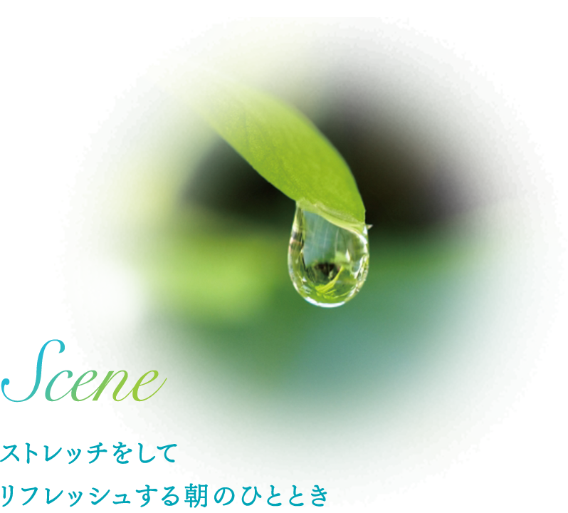Scene ストレッチをして リフレッシュする朝のひととき