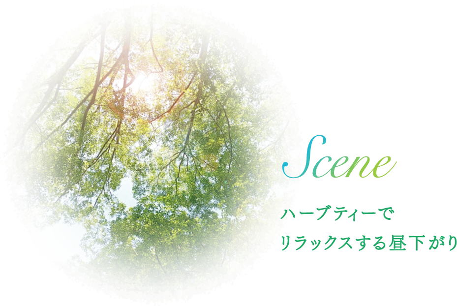 Scene ハーブティーでリラックスする昼下がり