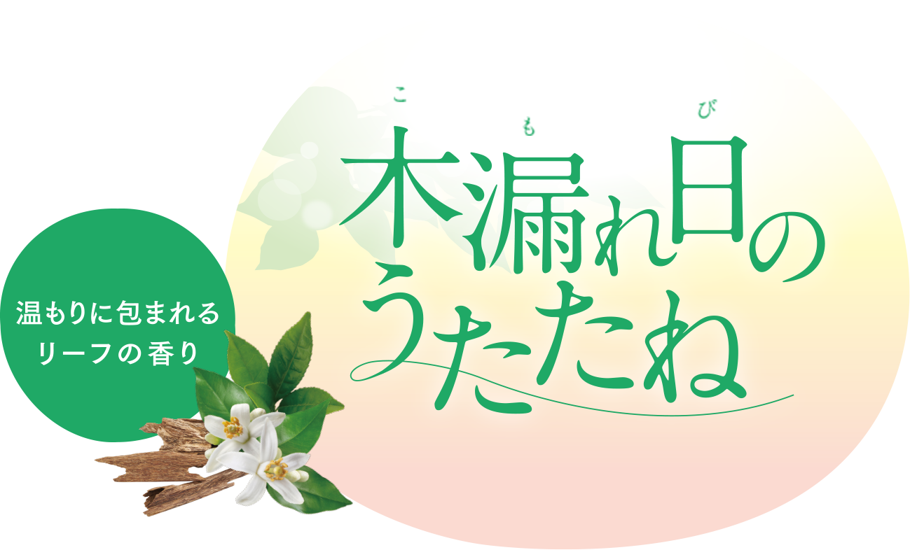 木漏れ日のうたたね 温もりに包まれるリーフの香り