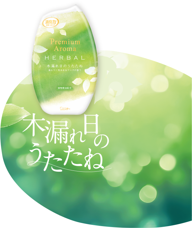 木漏れ日のうたたね