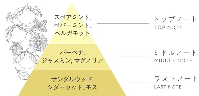 PEPPERMINT＆BERGAMOT ペパーミント＆ベルガモット